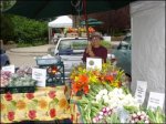 Farmer's Market