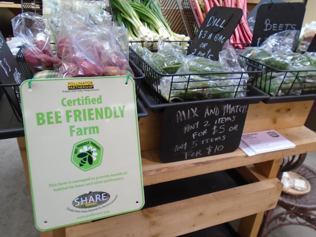 SF photo fb bee friendly